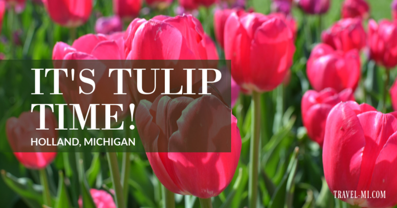 Holland Michigan Tulip Festival