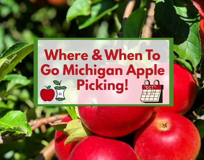 BEST Michigan Apple Orchards, Apple Picking, U Pick Visit This Year