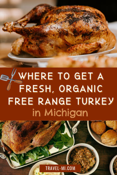 free range organic turkey farms