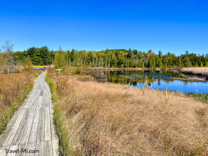 Boardwalk alongside tall grasses and a small scenic pond