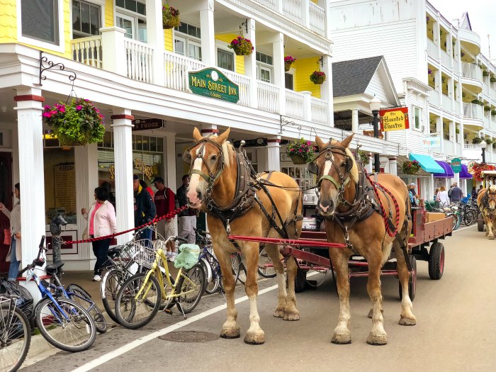 Team of horses in front of a lovely yellow storefront in downtown Mackinac Island.