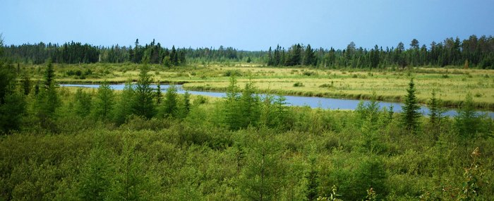 Manistique: See Kitch it kipi, Outstanding Boardwalks, Lighthouse | MI